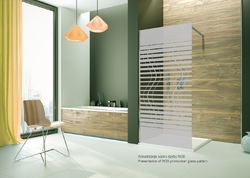 Náhled obrázku:  Sklo W20